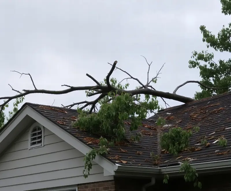 storm damage restoration Brisbane